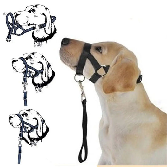 Adjustable Training Leash Anti barking Dog - MyPetDollar.com