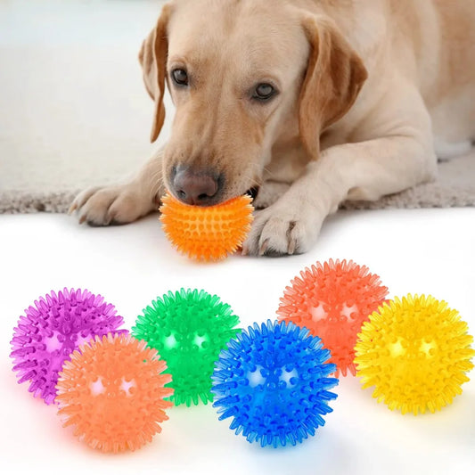 Transparent Spiky Squeaky Dog Toys Bite - MyPetDollar.com