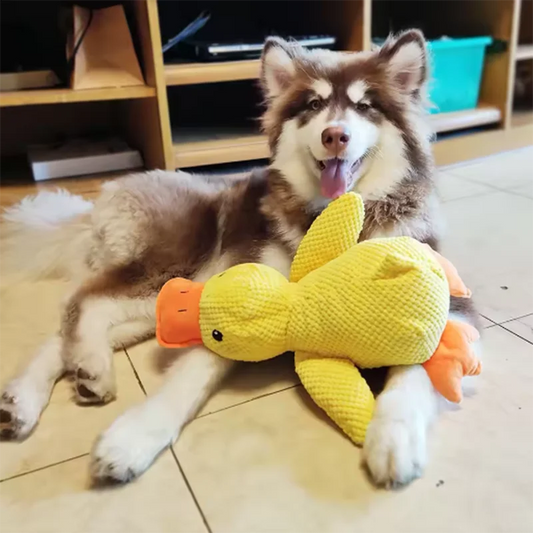 Dog Toy Stomping Duck Bite Resistant - MyPetDollar.com