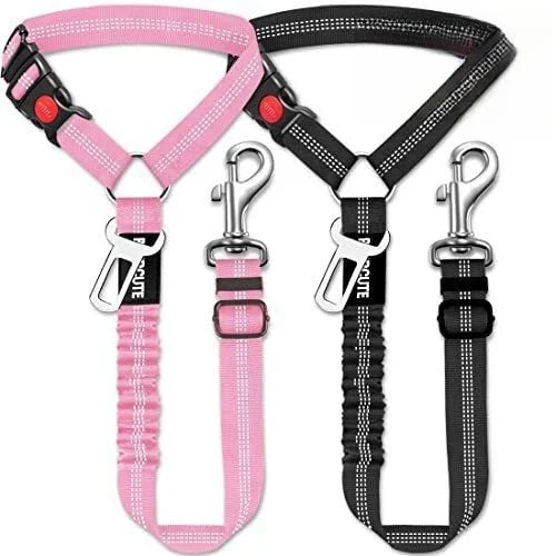 Pet Supplies High Quality Dog Leash Dog - MyPetDollar.com