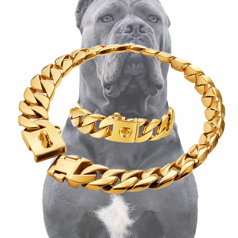 Large Dog Collar 32mm Metal Pet Choker Gold - MyPetDollar.com
