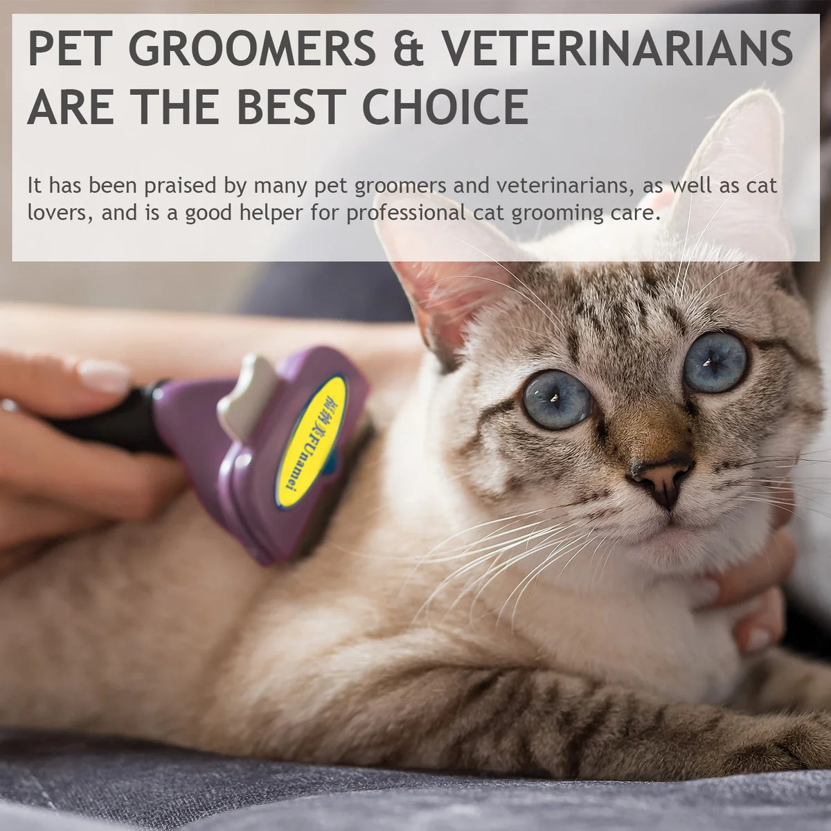 Dog Brush Grooming Accessories Pet Hair - MyPetDollar.com