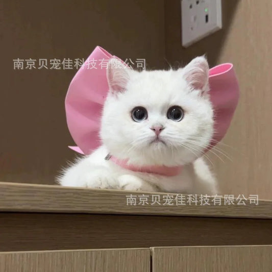 Mary Cat Bow Tie Pet Collar Scarf Cat - MyPetDollar.com
