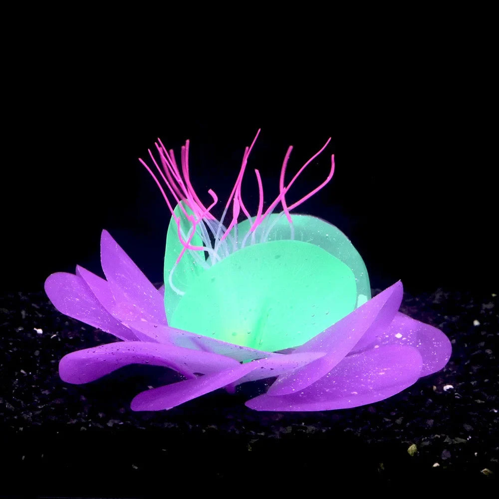 Aquarium Fish Tank Decorations with - MyPetDollar.com