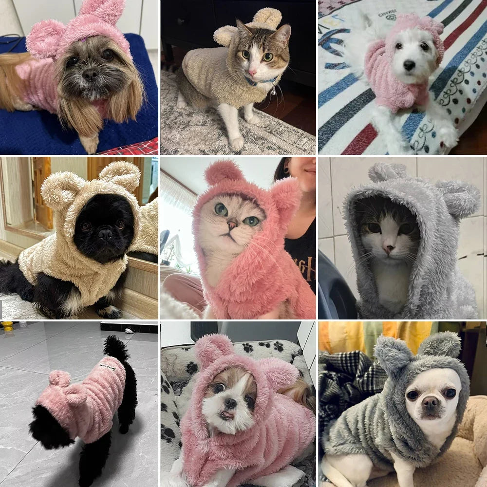 Cute Hooded Dog Cat Clothes Autumn Winter - MyPetDollar.com