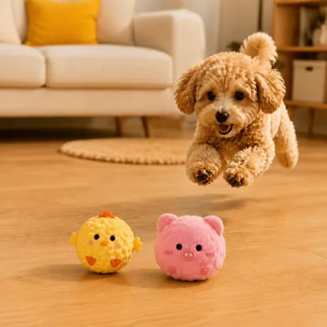 2/3pcs Pet Cat and Small Dogs Interactive - MyPetDollar.com