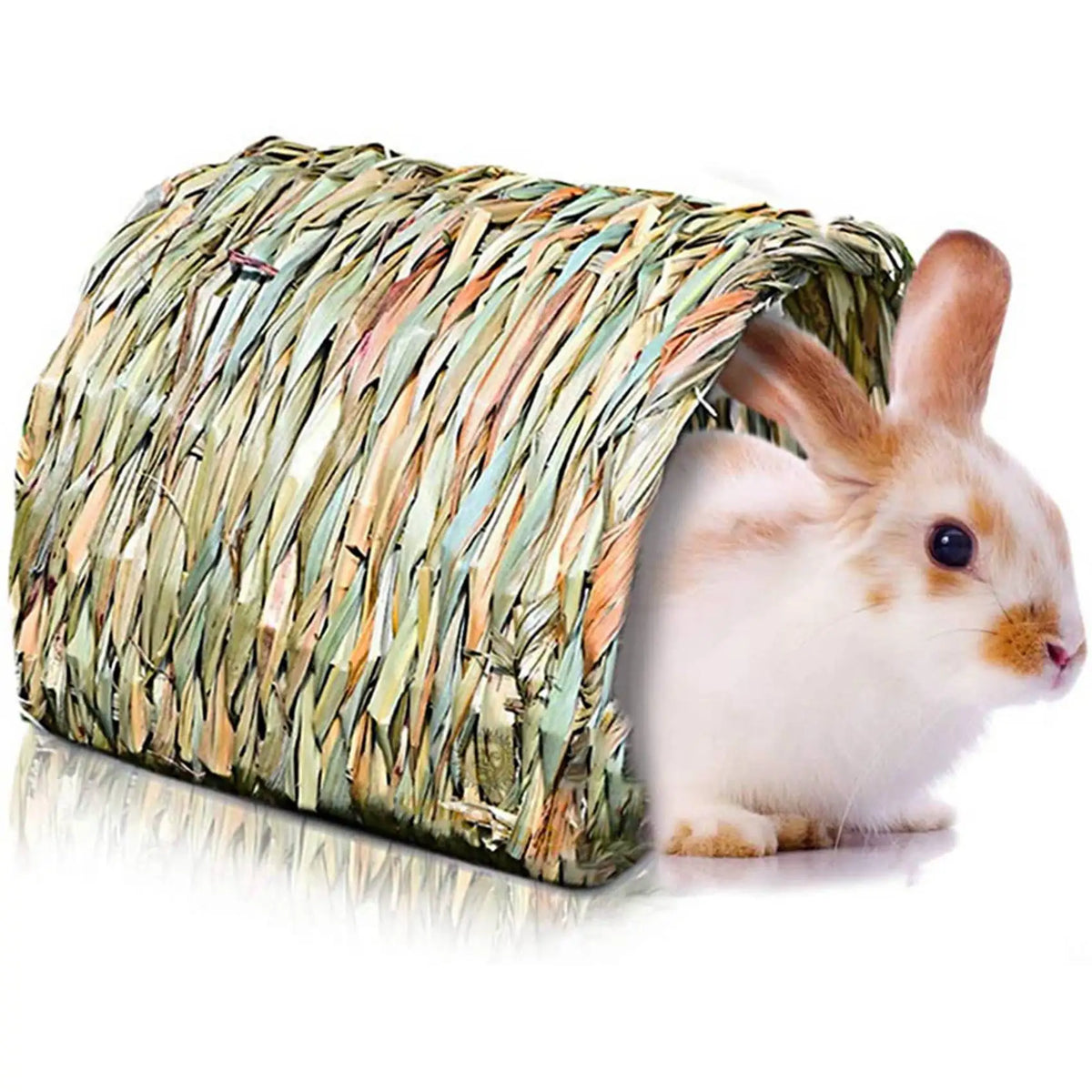 ABKS-2X Woven Grass Tunnel, Secret Base For - MyPetDollar.com
