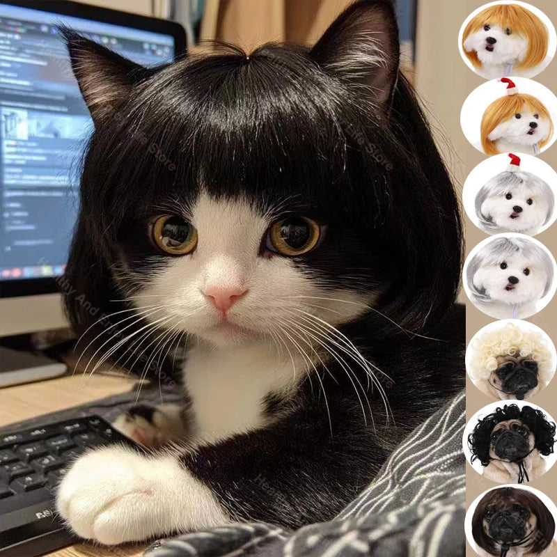 Pet Wig Dog And Cat Spoof Wig Pet Supplies - MyPetDollar.com