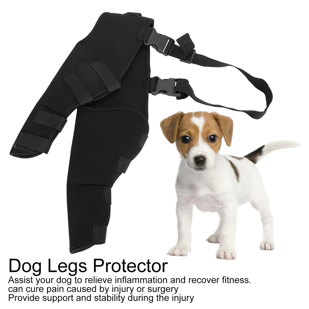 Pet Dog Hind Legs Protector Adjustable Knee - MyPetDollar.com