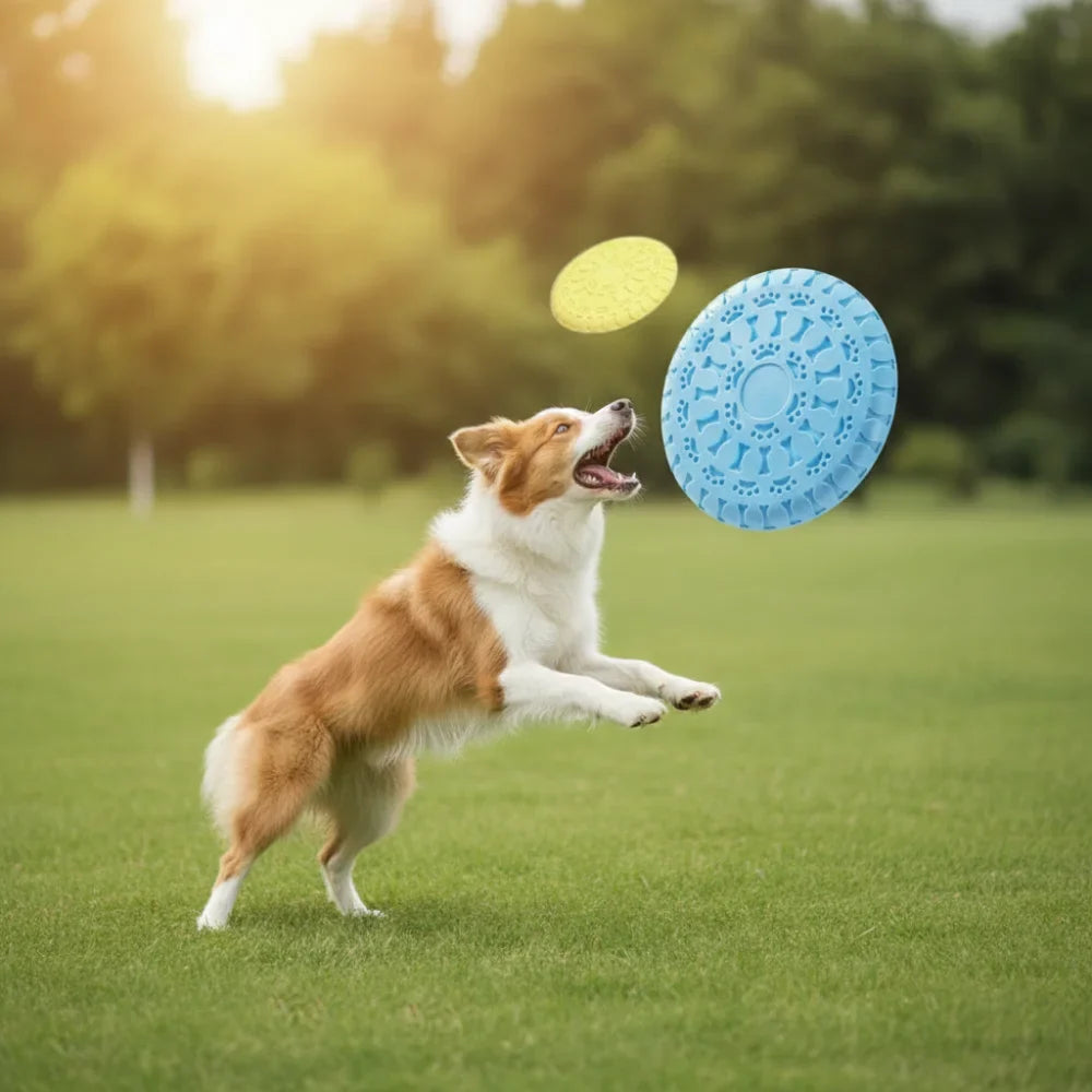 Durable Flying Disc for Medium/Large Dogs: - MyPetDollar.com