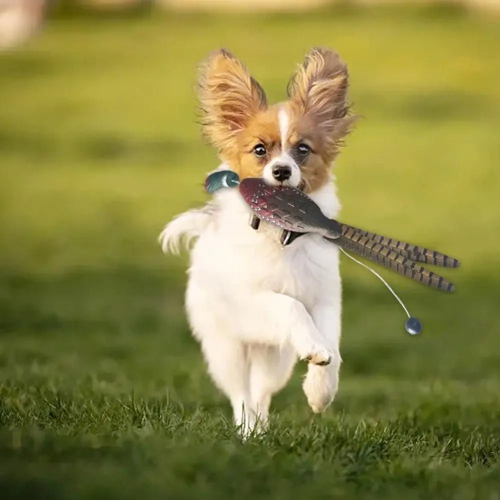Mallard Duck Decoy Dog Training Toys For - MyPetDollar.com