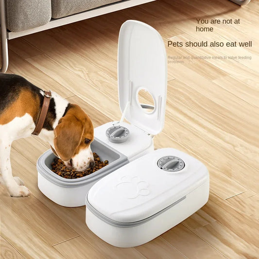 Dog Feeder Cat Automatic Feeding Water Bowl - MyPetDollar.com