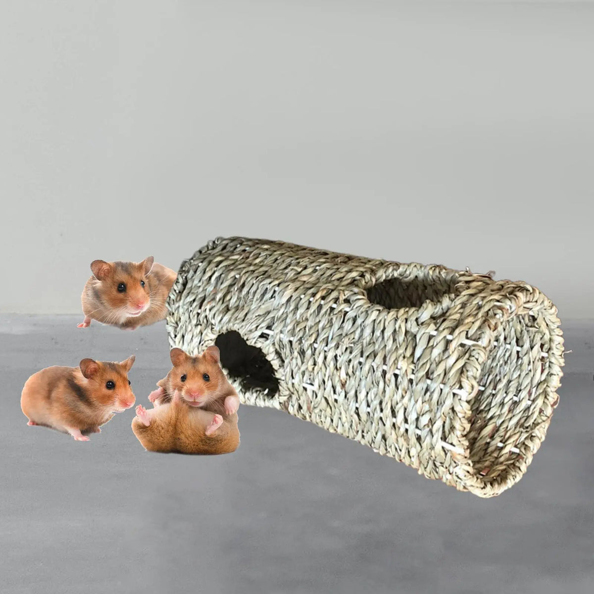 Hamster Grass Tunnel Durable Lightweight - MyPetDollar.com