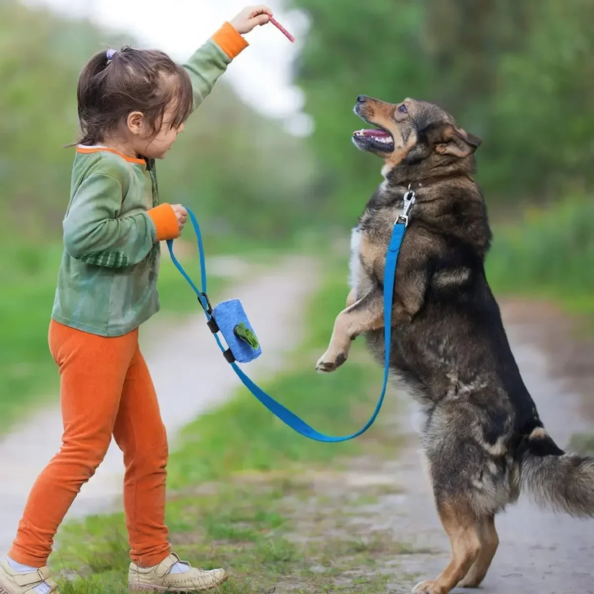 Pet Dog Poop Bag Dispenser Storage Bag - MyPetDollar.com