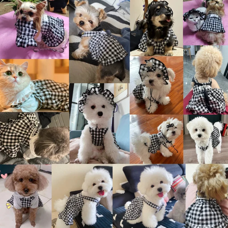 Dog Clothes Summer Luxury Pet Plaid Striped - MyPetDollar.com