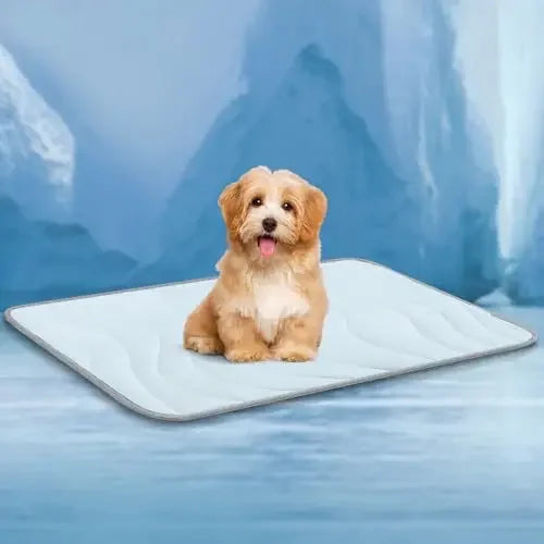 Double-Sided Gentle Wear Resistant Pet Ice - MyPetDollar.com