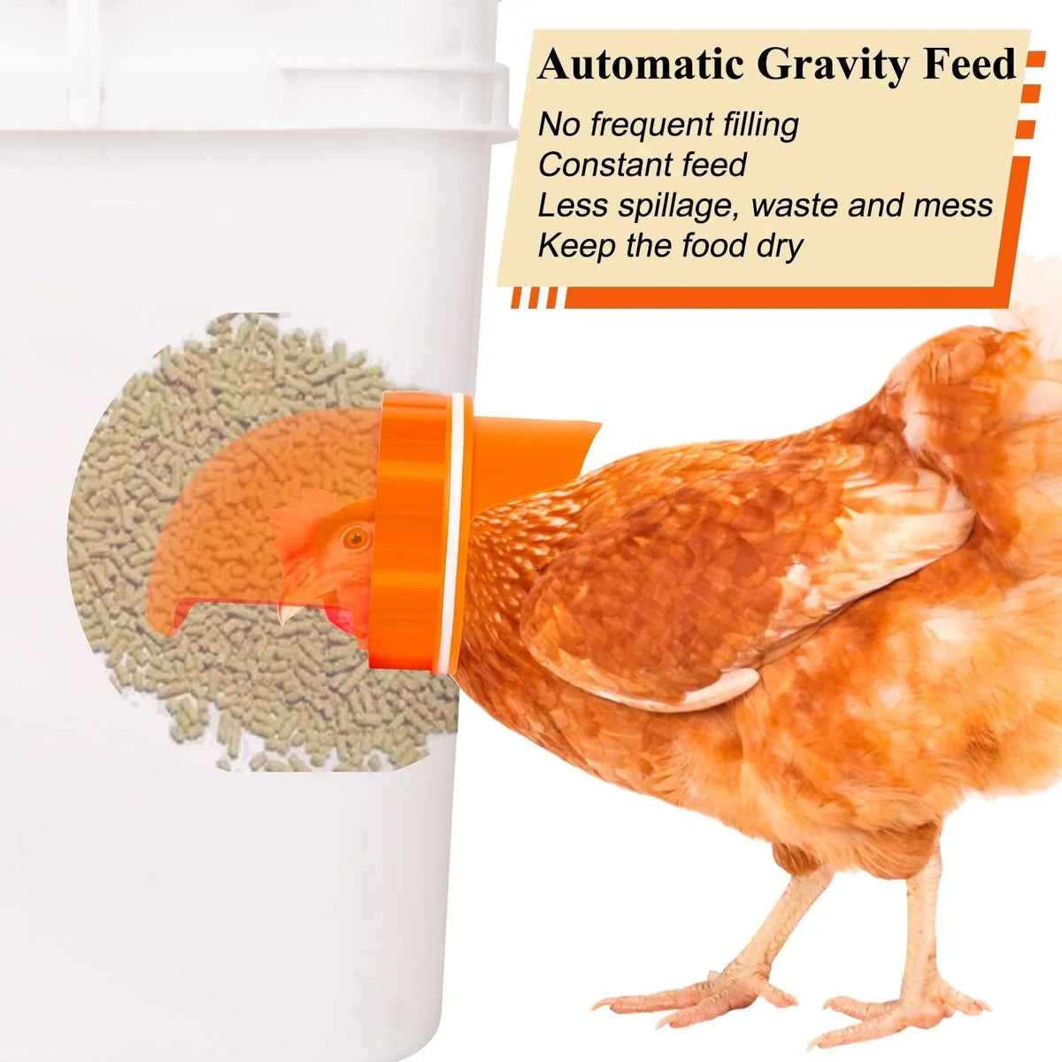 DIY Automatic Chicken Feeder Chicken Feeders - MyPetDollar.com