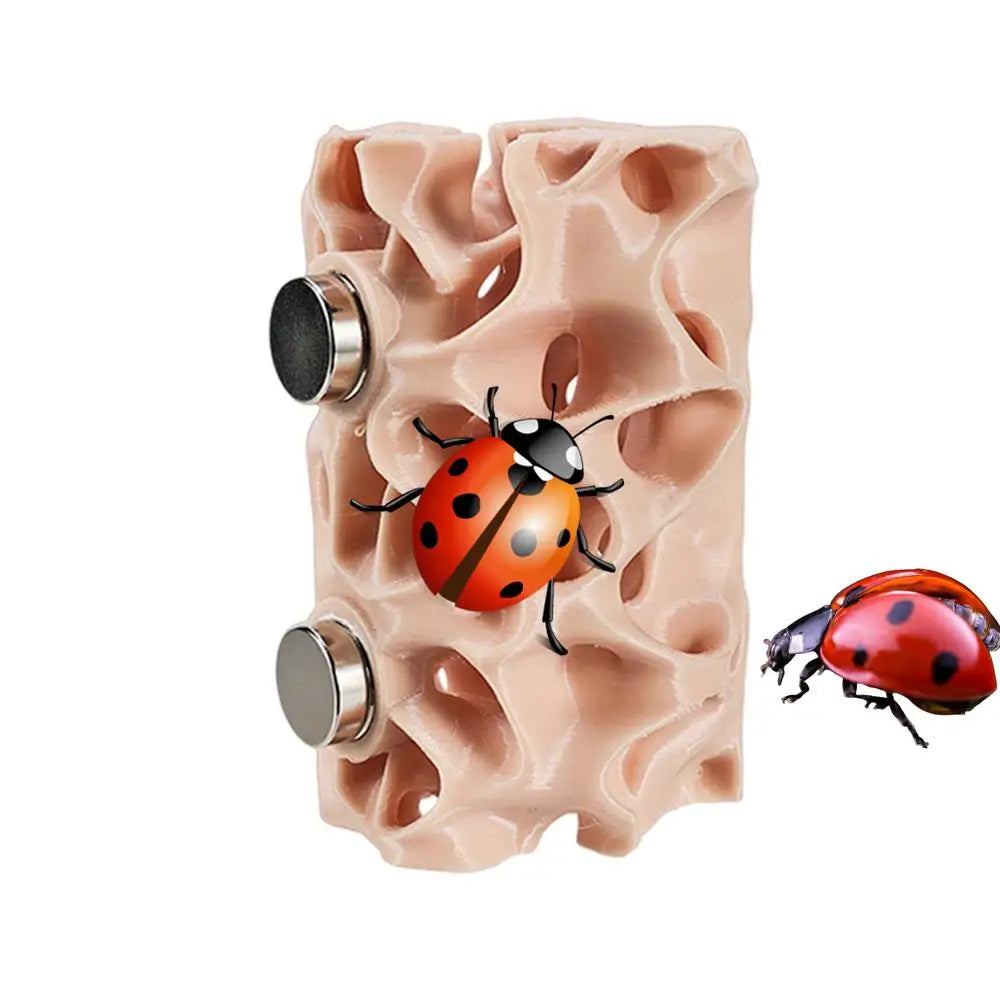 Spider Habitat Magnetic Reptile Hiding Place Amphibian – 2 Colors