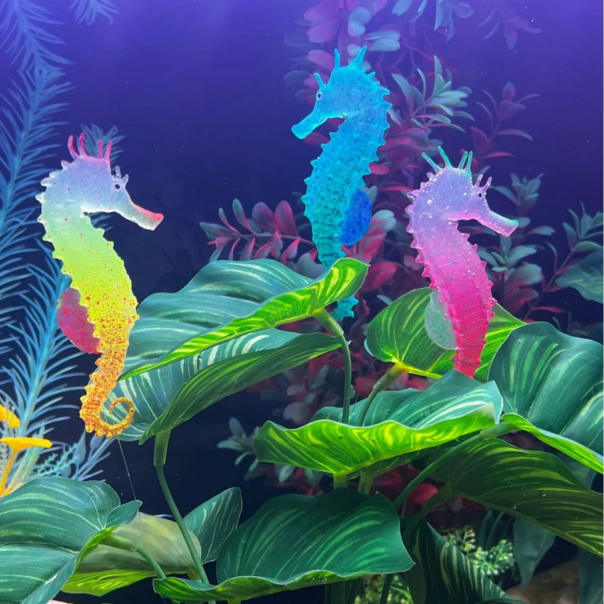 Simulated Luminous Seahorse Fish Tank - MyPetDollar.com