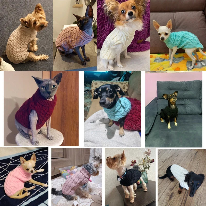 Warm Dog Sweaters for Small Dogs Turtleneck - MyPetDollar.com