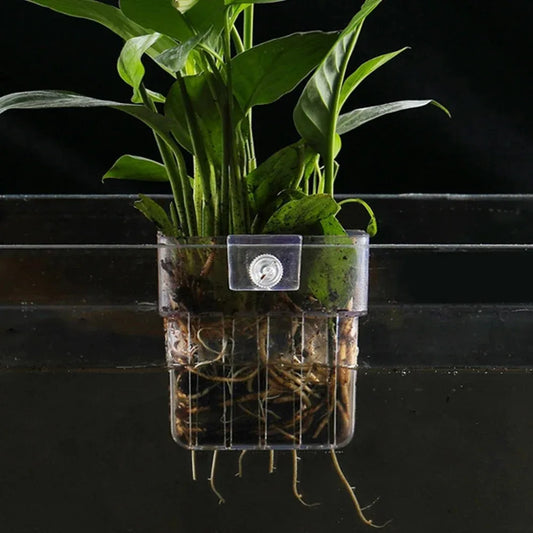 Aquarium Plant Basket Transparent Fish Tank - MyPetDollar.com