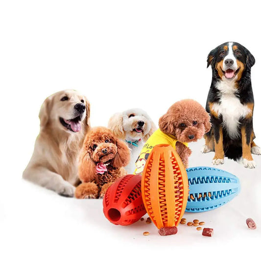 Dog Teeth Cleaning Toy, Interactive Food - MyPetDollar.com