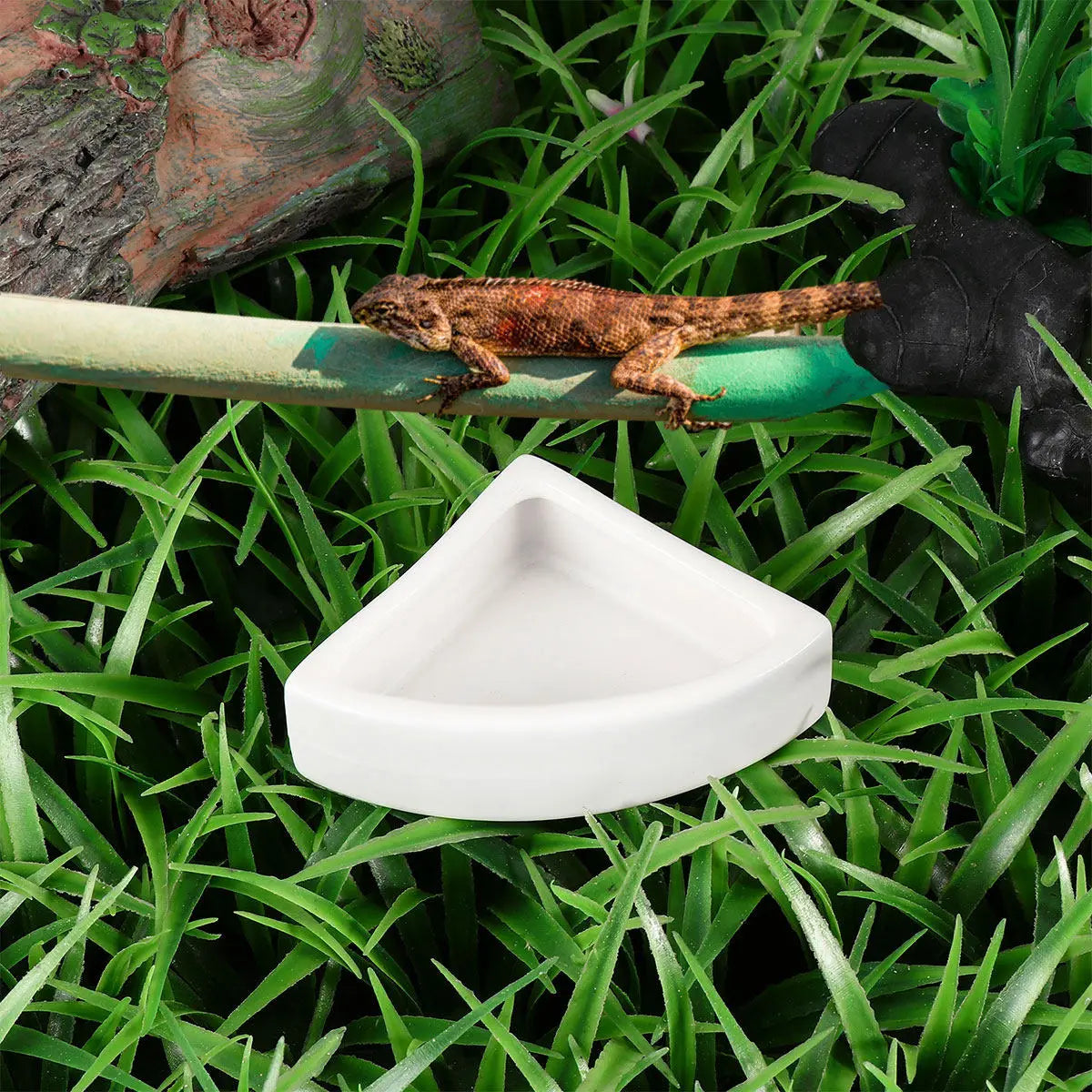 2Pcs Lizard Feeder Anti-Escape Thick Ceramic - MyPetDollar.com