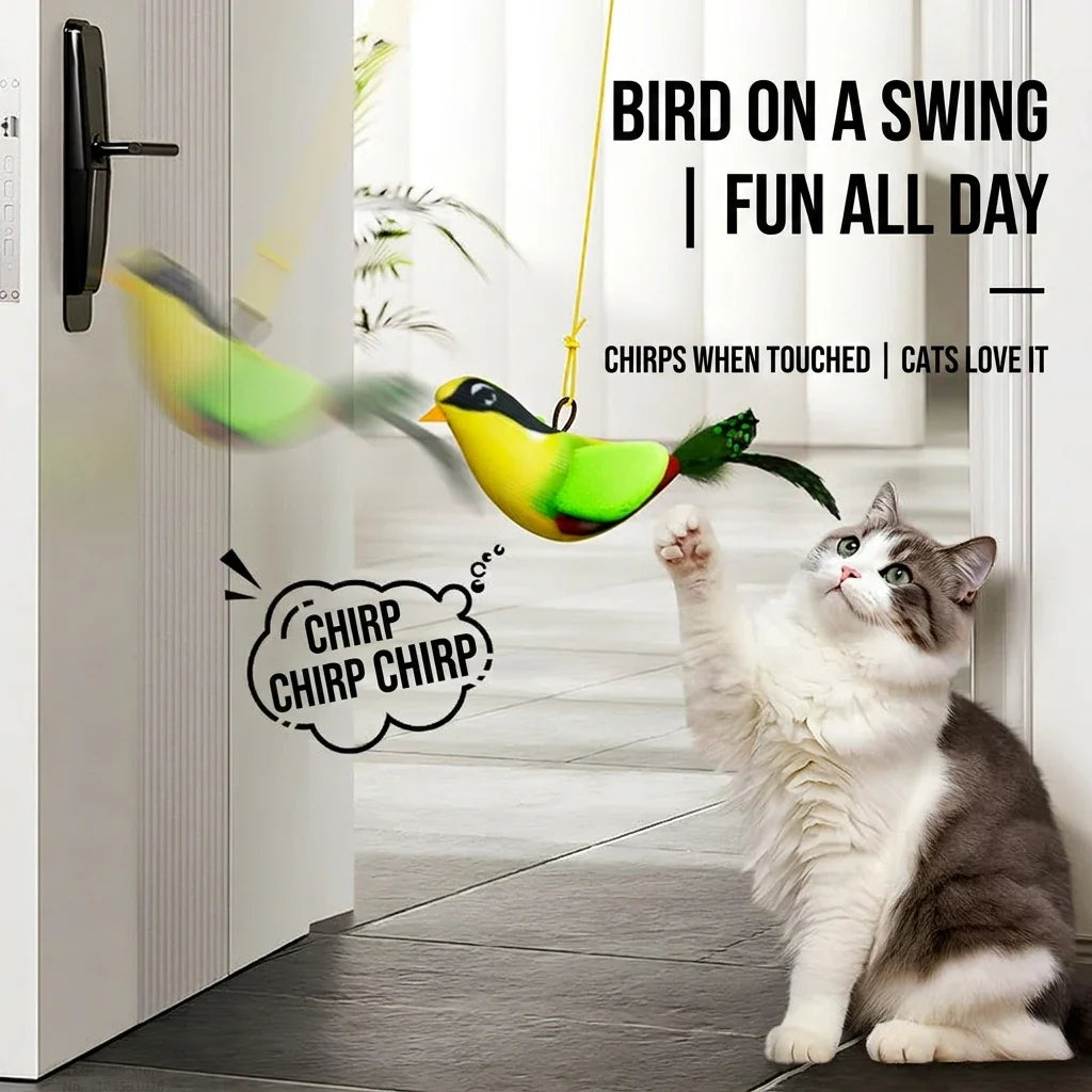 iLMH Indoor Interactive Birds Toy for Cat - MyPetDollar.com