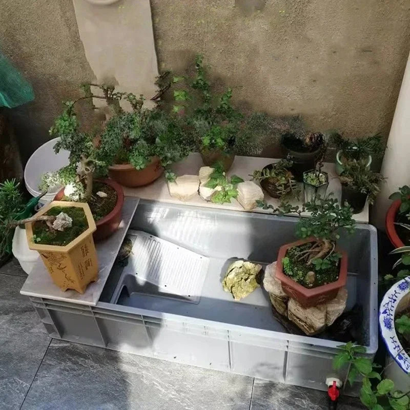Household Terrariums Large Turtle Breeding - MyPetDollar.com