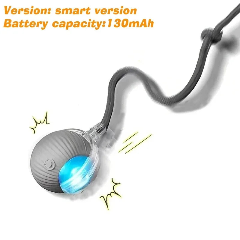 Rechargeable Dog Interactive Ball Toy Automatic Rolling Smart Pet Teaser
