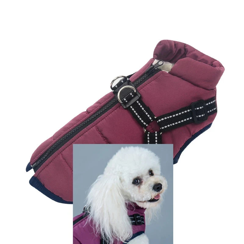 Customizable Winter Dog Clothes GWT330600 - MyPetDollar.com