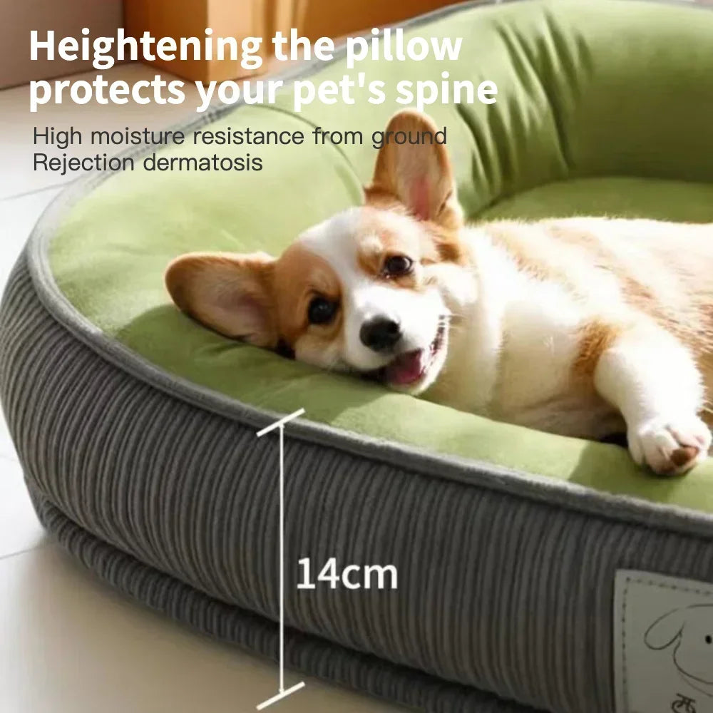 Thickened Wear Resistance Small Breed Dog - MyPetDollar.com