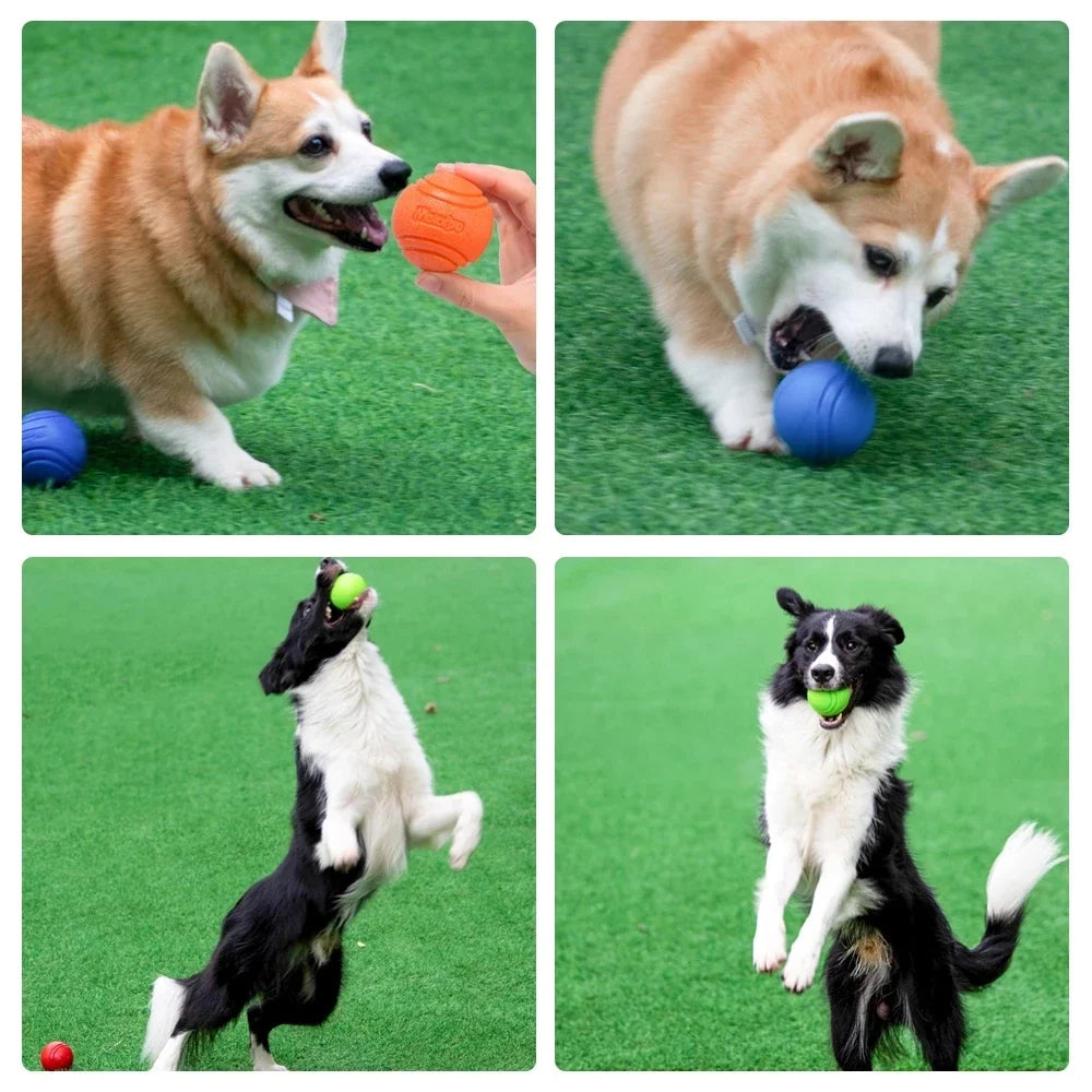 Pet Dog Toys Dog Ball Dog Bouncy Rubber - MyPetDollar.com