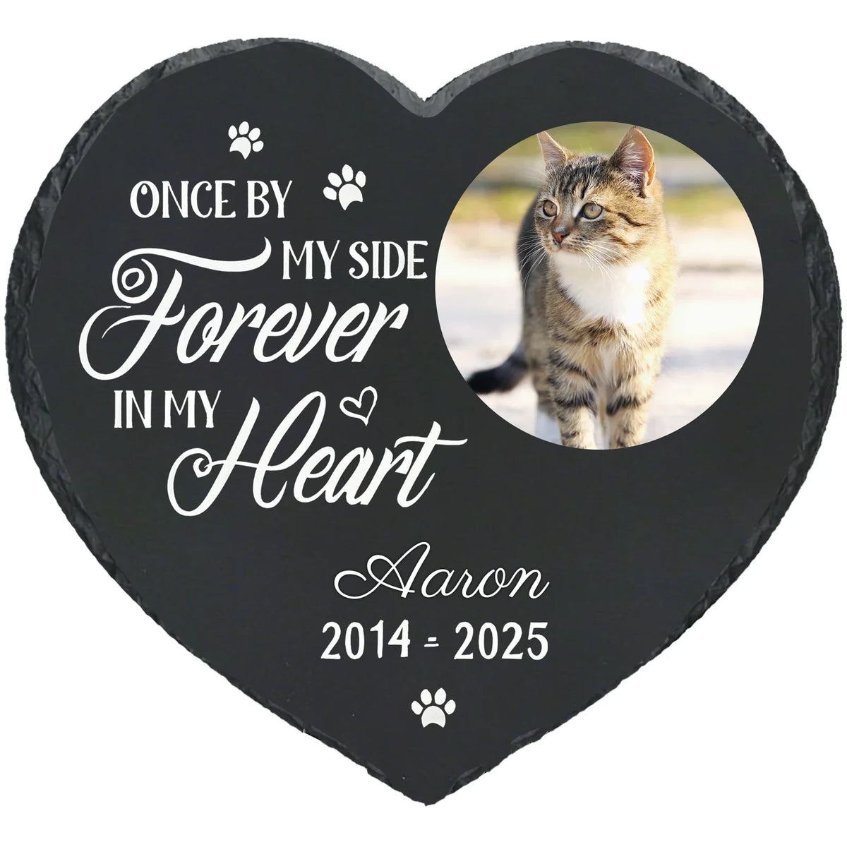 Personalized Pet Memorial Stone,Custom Cat - MyPetDollar.com