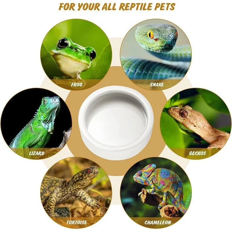 Anti-Escape Ceramic Reptile Bowl Mealworm - MyPetDollar.com