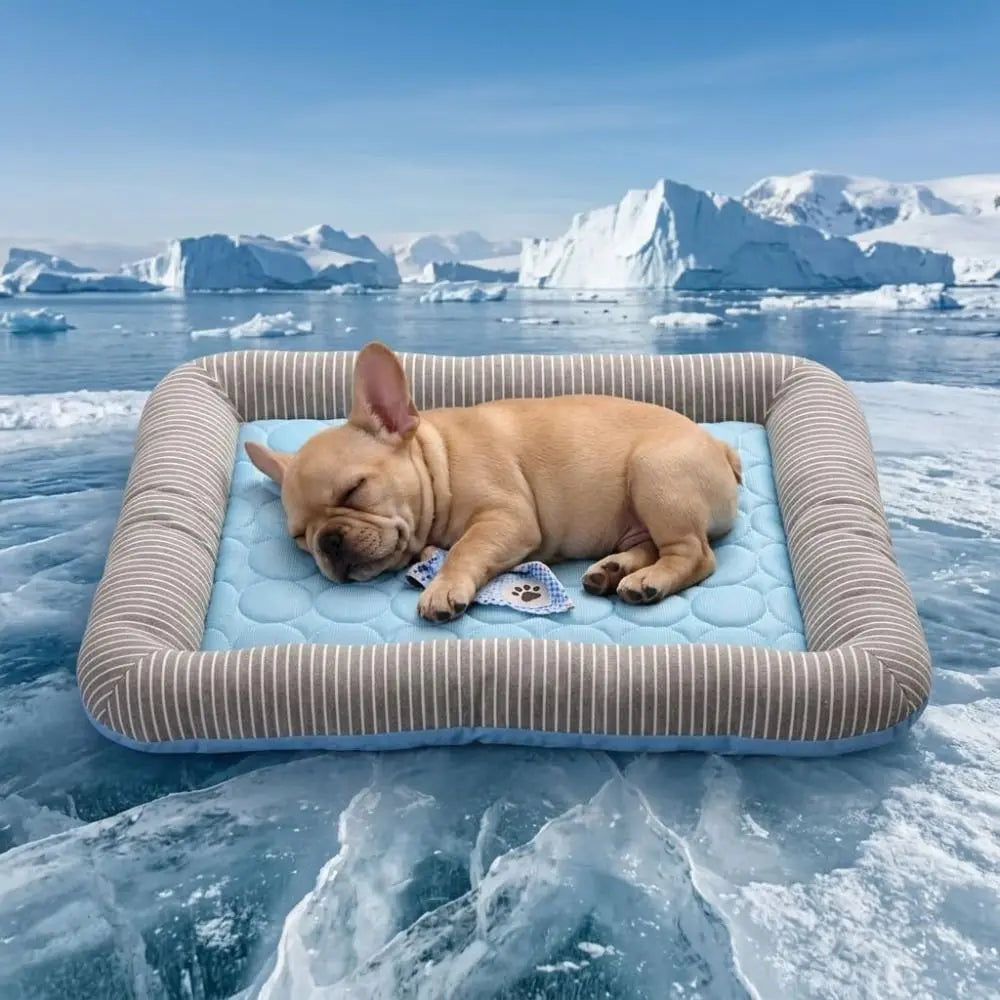 Ice Silk Material Cooling Pad Bed for Dogs - MyPetDollar.com