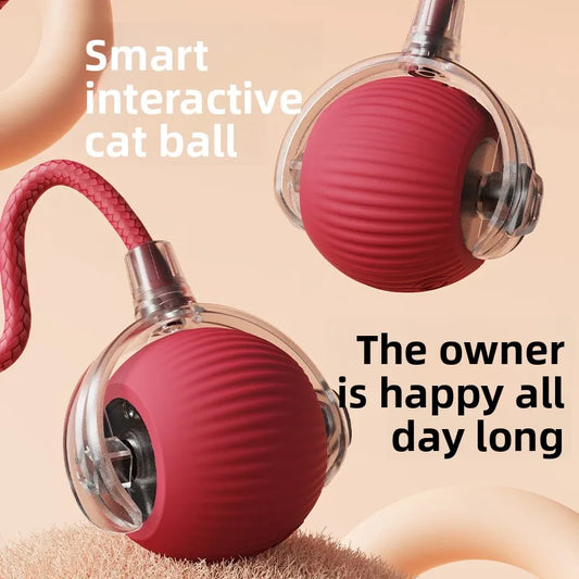 Cat toy for self-entertainment, smart cat - MyPetDollar.com
