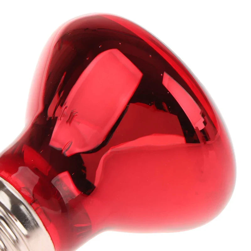 NEW 25/40/50/60/75/100W E27 UVA Poultry Bulb - MyPetDollar.com
