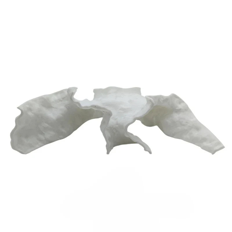 Ecological Simulation Rock Cave - Aquarium - MyPetDollar.com