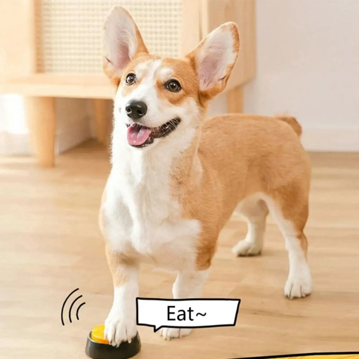 Dog Communication Buttons Voice Recording - MyPetDollar.com