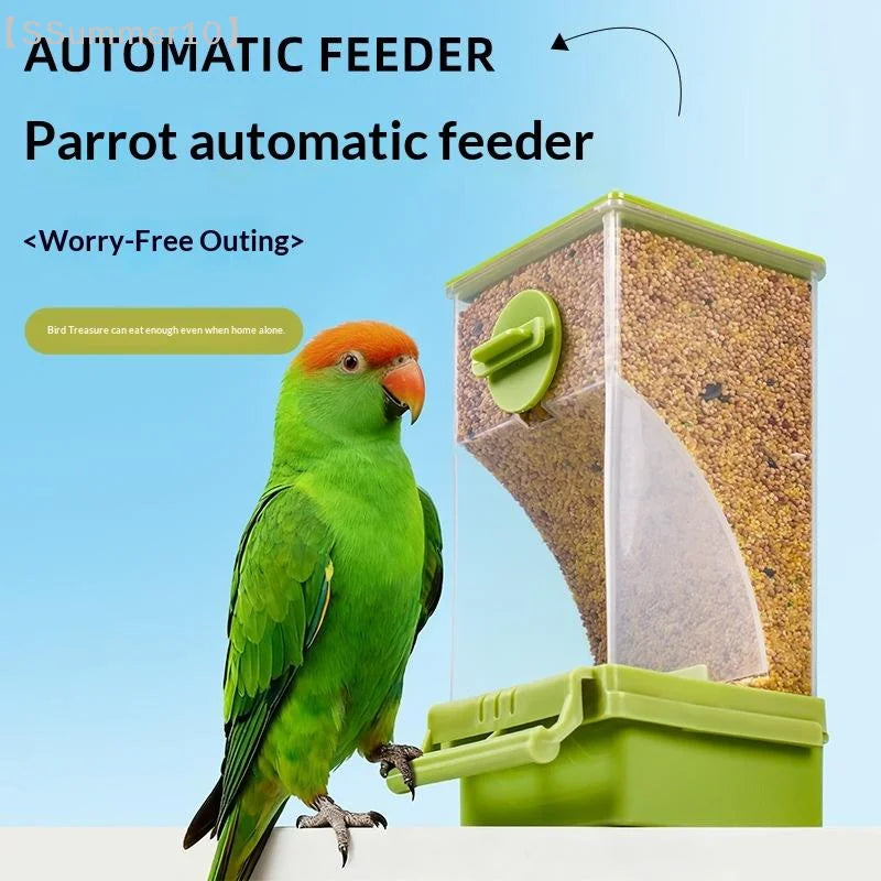 【SSummer10】Transparent Automatic Hanging - MyPetDollar.com