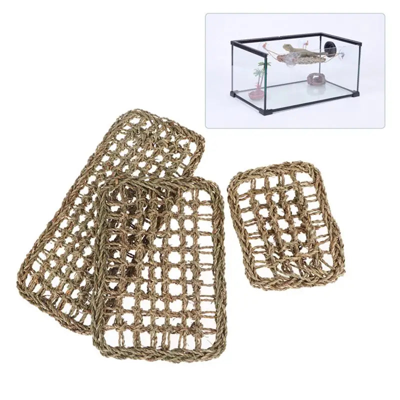 For Lizard Lounger Hermit Crabs Geckos Bed - MyPetDollar.com