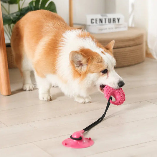 Dog Toys Silicon Suction Cup Tug Interactive - MyPetDollar.com