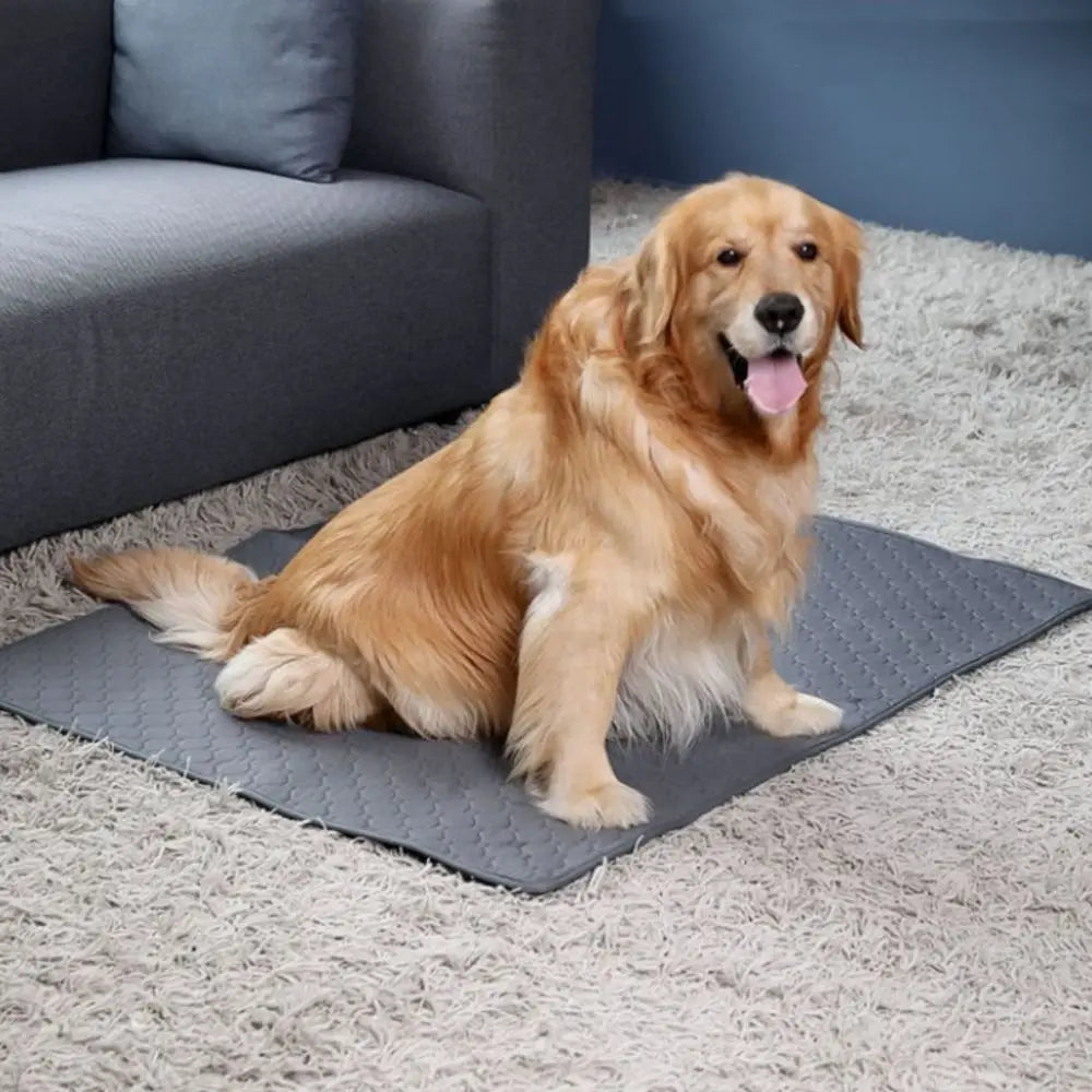 Pet Supplies Washable Dog Pee Pad Reusable - MyPetDollar.com