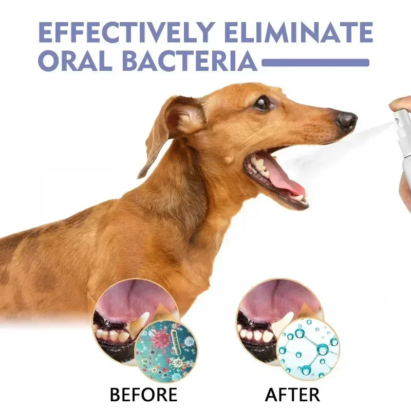 Pet Teeth Cleaning Spray Oral Care Remove - MyPetDollar.com