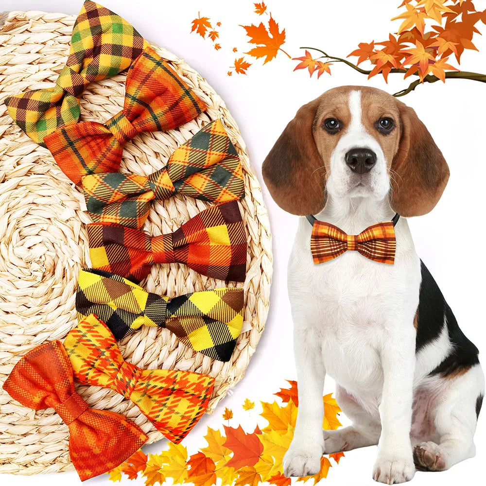 30pcs Removable Small Dog Cat Bowtie For - MyPetDollar.com