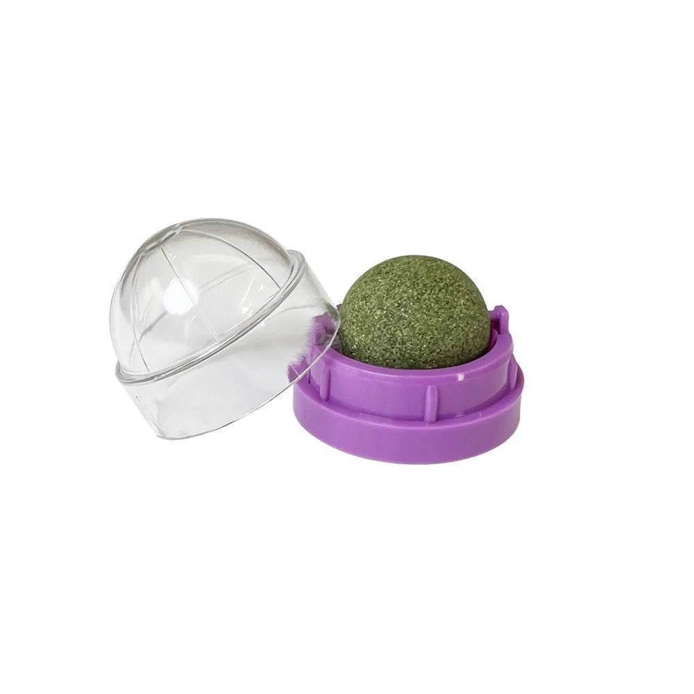 Catnip Cat Wall Sticky Ball Plaything Natural Grass Snack Improve