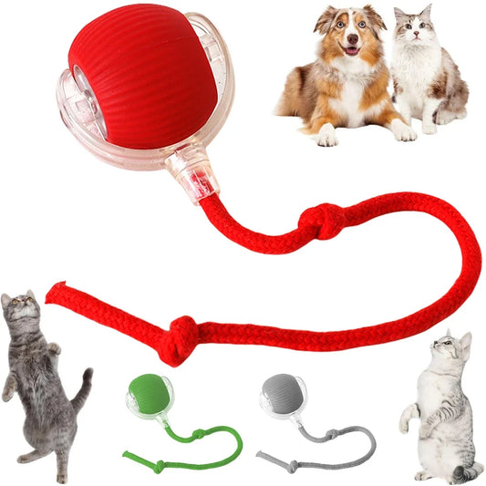 2025New Interactive Cat Toys Ball Automatic - MyPetDollar.com