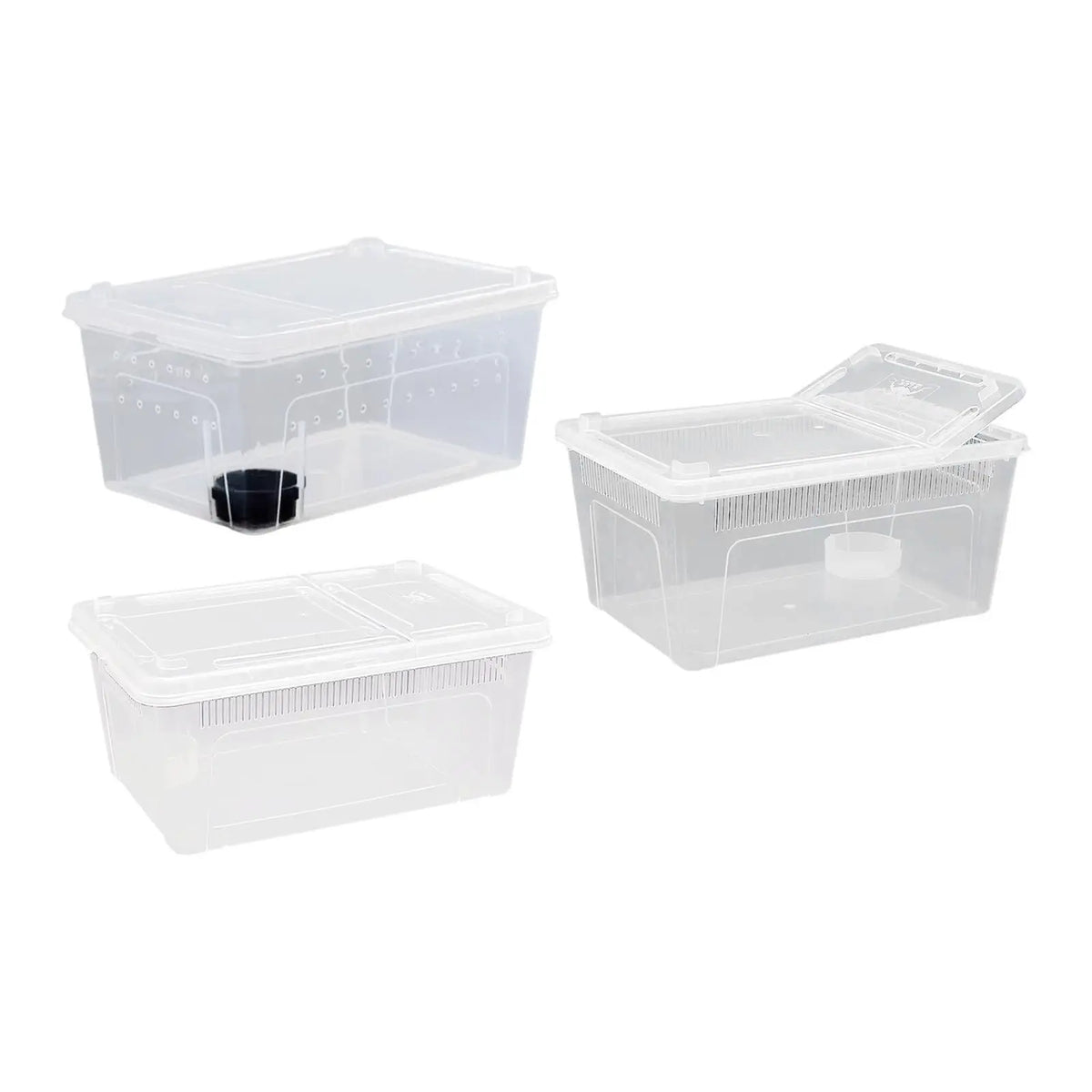 Clear Terrarium Habitat Breeding Box Turtle - MyPetDollar.com