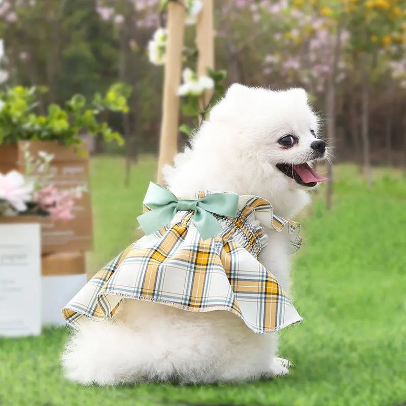 Checkered Dog Dress, Dog Cat, Small and - MyPetDollar.com